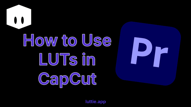 How to Use LUTs in Adobe Premiere Pro (Complete Guide)